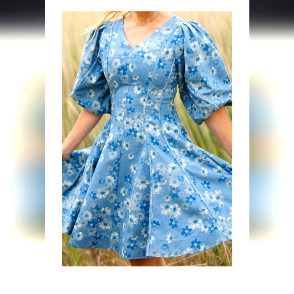 ISO (In search of) Ivy City Co. Leah Denim dress (not for sale)